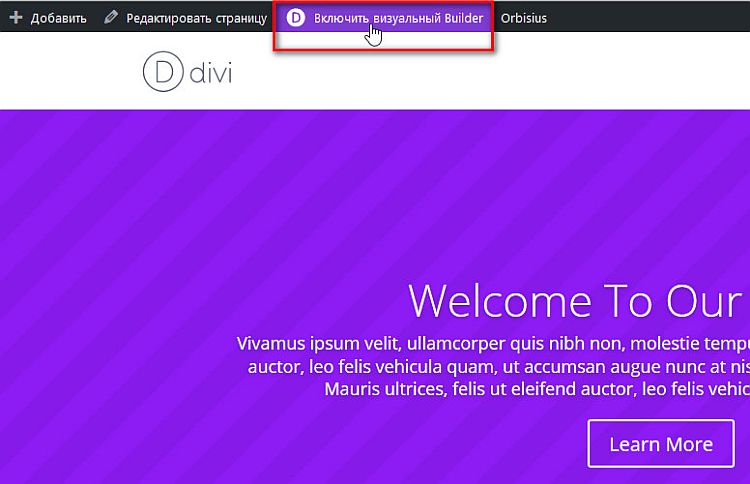 Использование Visual Divi Builder