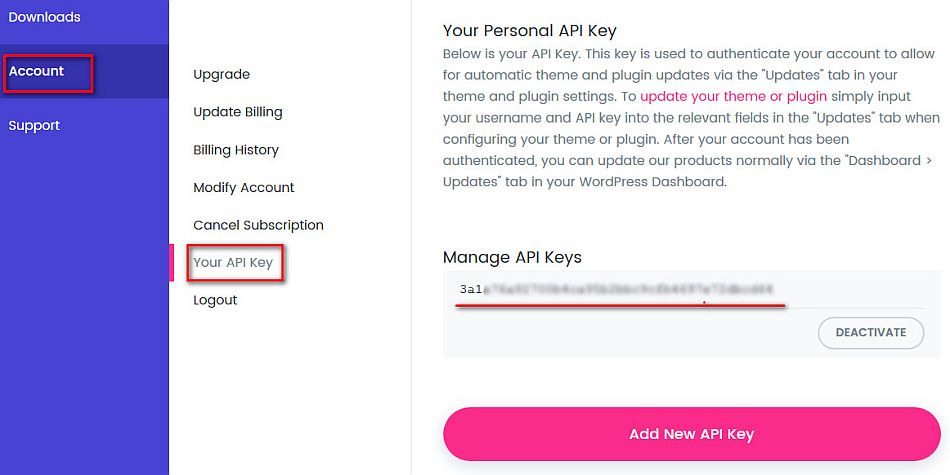 Обновление Divi темы WordPress