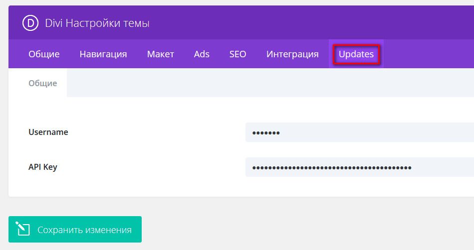 Обновление Divi темы WordPress